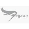 بيغاسوس
