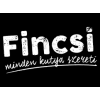 فينسي