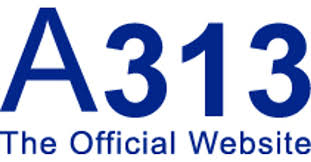A313